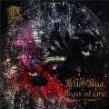 Abyss of Zodiac～Abyss of Fire