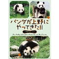 パンダが上野にやってきた!! 2012年カレンダー