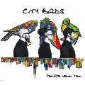 City Birds