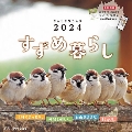 すずめ暮らし インプレスカレンダー2024