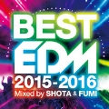 BEST EDM - 2015-2016 - mixed by SHOTA & FUMI