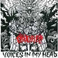 Voices In My Head