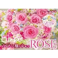 鏡リュウジ あなたに贈る幸せのROSE 2025