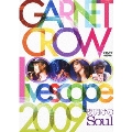GARNET CROW livescope 2009 ～夜明けのSoul～