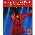 1991 Concert Tour Amusement Park