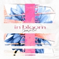 in bloom