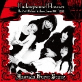 Underground Flowers -The Best Of Angel'in Heavy Syrup 1991～1999-