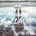 Meaning of Life<通常盤>