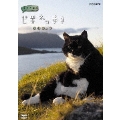 岩合光昭の世界ネコ歩き ノルウェー