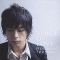 VOICE OF LOVE ～愛の力～<通常盤>