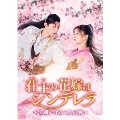 荘主の花嫁はシンデレラ～江湖を守る二人の愛～ DVD-BOX1