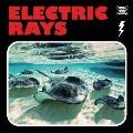 ELECTRIC RAYS