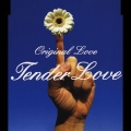 Tender Love