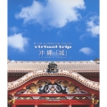 virtual trip 沖縄 「城」