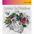 Colour by Number [CD+DVD]