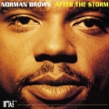 アフター・ザ・ストーム +1