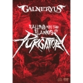 FALLING INTO THE FLAMES OF PURGATORY [DVD+2CD+TシャツM]＜完全生産限定版＞