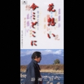花想い/今…どこに