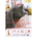 パリねこ ファミリー・モダン編