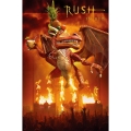 ラッシュ・イン・リオ