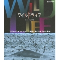 ワイルドライフ アリューシャンマジック 驚異!海の生きもの大集結