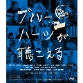 ブルーハーツが聴こえる [Blu-ray Disc+DVD]