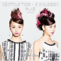 DESTRUCTION + 2 B rubbed PL4E edition (Taiwan盤)