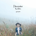 December Waltz
