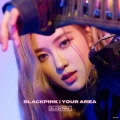 BLACKPINK IN YOUR AREA＜初回生産限定盤/ROSE ver.＞
