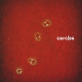 Aerobe