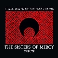 The Sisters of Mercy Tribute