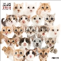 THE CAT ALL-STAR 2018 カレンダー