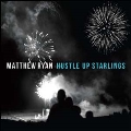 Hustle Up Starlings