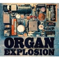 ORGAN EXPLOSION