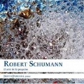 Schumann: The Art of the Small