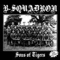 Sons Of Tigers