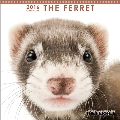 (ミニ)THE FERRETミニ 2016 カレンダー