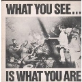 What You See... Is What You Are