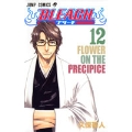 BLEACH -ブリーチ- 12