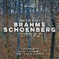ブラームス: ピアノ三重奏曲、シェーンベルク: 浄められた夜