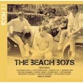 Icon: The Beach Boys