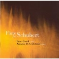 Flute for Schubert