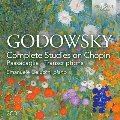 レオポルド・ゴドフスキー: ショパンのエチュードによる練習曲全集