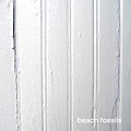 Beach Fossils (Clear Green Vinyl)<限定盤>