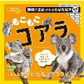 ナショジオキッズ もこもこ コアラ