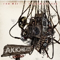 WORKS -THE BEST OF AKIO BEATS MIX-