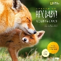 いのちの惑星、地球。HEY,BABY!～野生動物の子どもたち