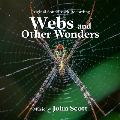 Webs and Other Wonders