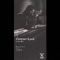 Forever Love (Last Mix)