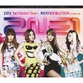2NE1 2012 1st Global Tour- NEW EVOLUTION in Japan